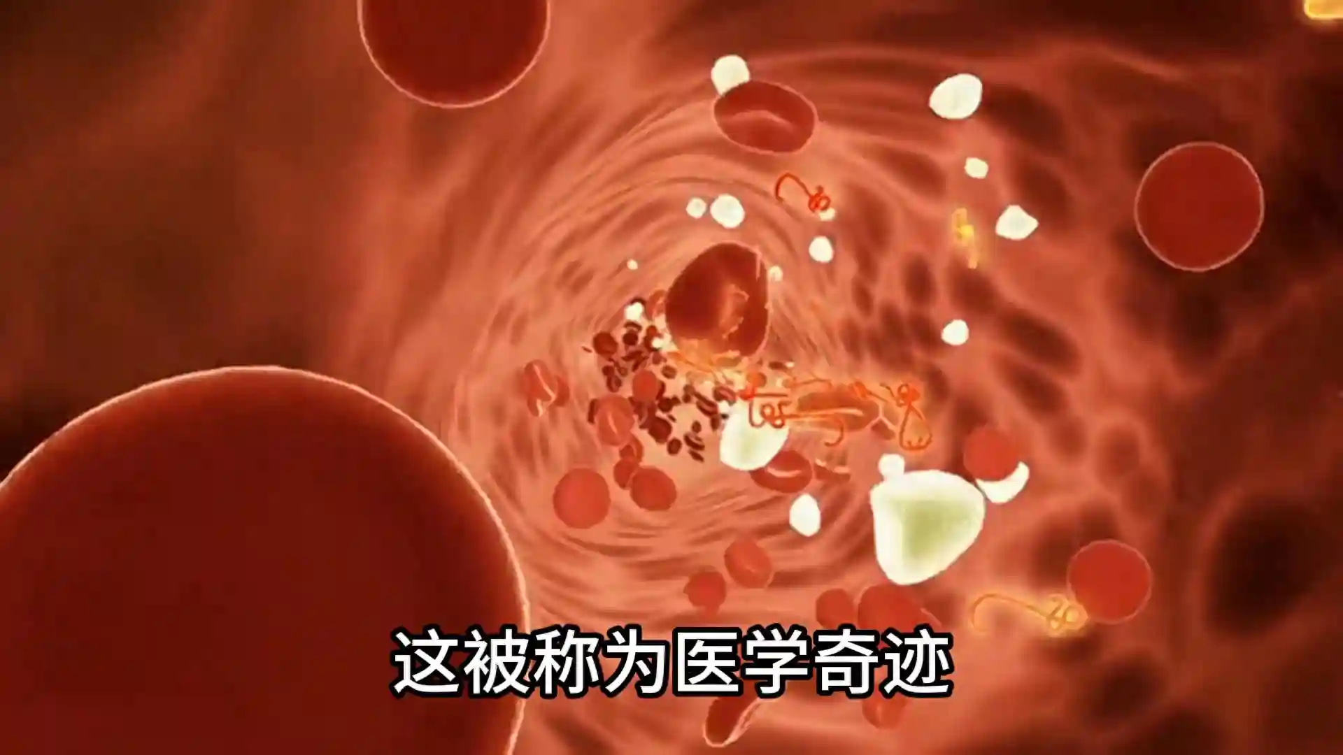 干细胞_生命的魔术师