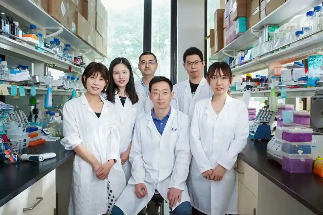 “寻药再生记”！