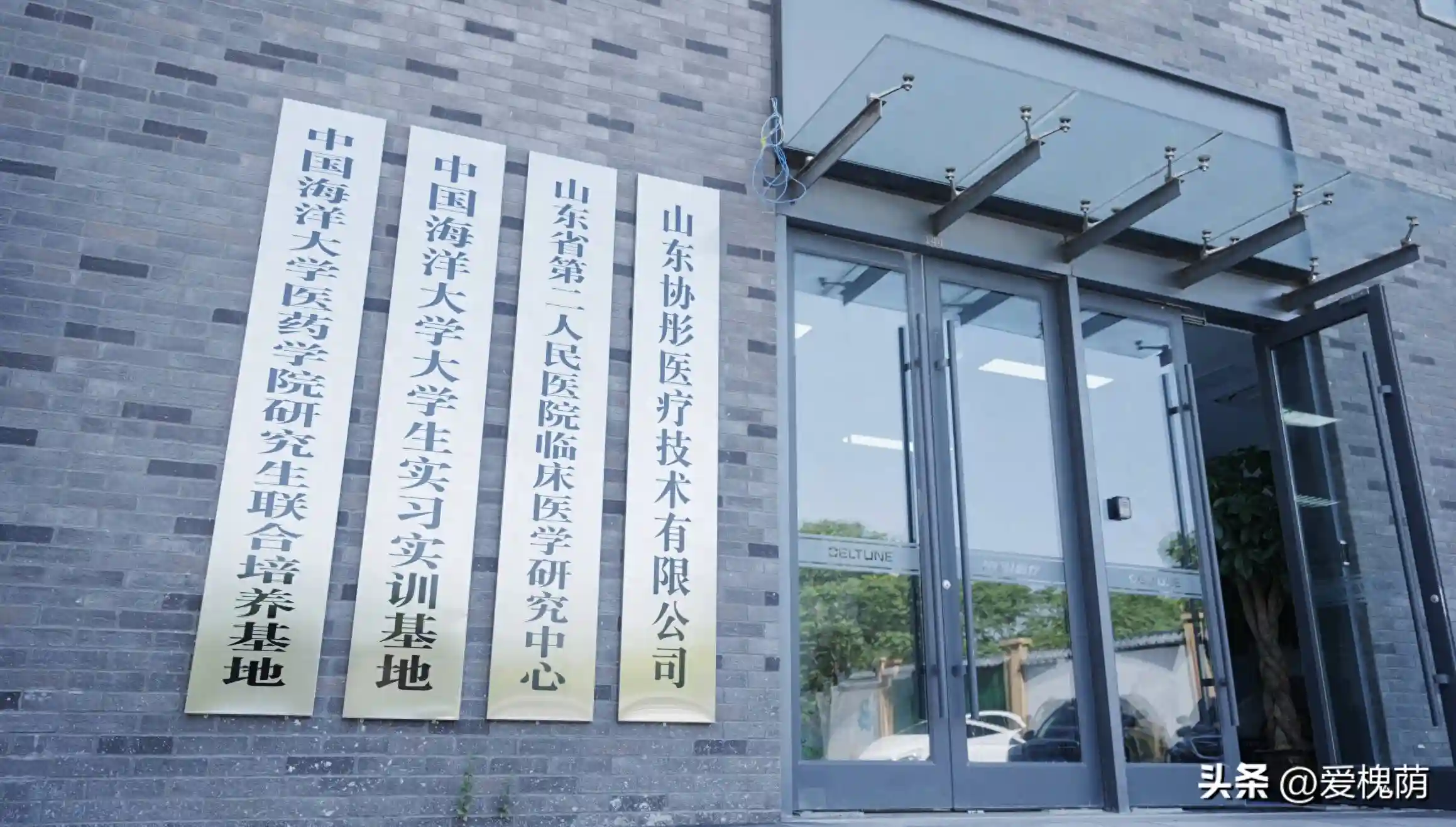 【做优做强总部经济】小小干细胞 难题新解法