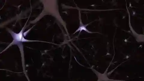 只知道间充质干细胞的看过来：神经干细胞