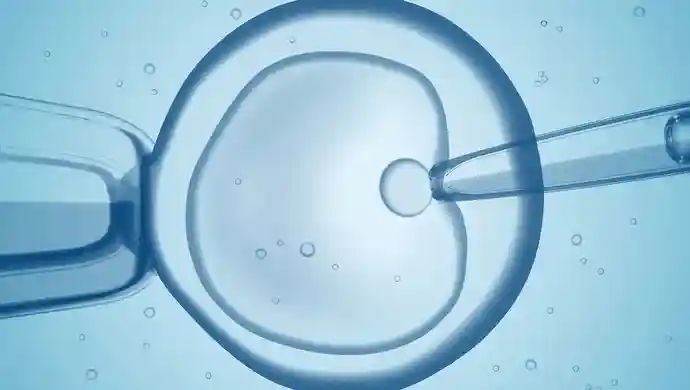 上海科学家利用成体干细胞在体外重构小鼠“人工胰岛”