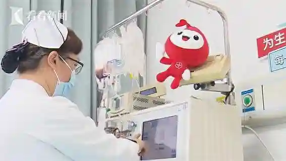 点燃生命希望！上海两天集中捐献7例造血干细胞