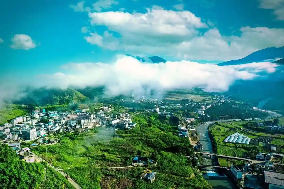 行游｜郭光泉：南丝路上的活地标——古桑林