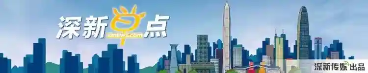 深新早点丨“网红”向日葵花园下个月将重现，这次还为你预留了拍照C位，请好好爱护！