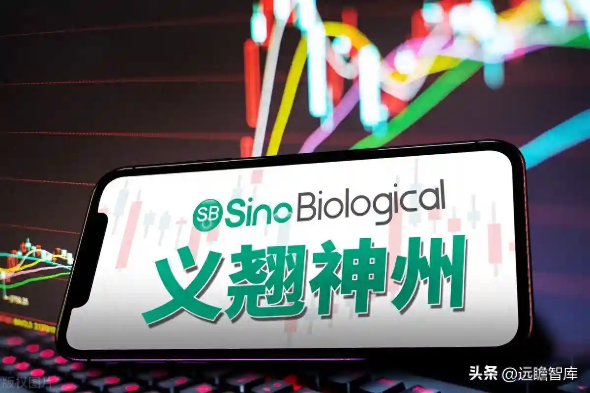 国产生物试剂龙头，义翘神州： 不断加大海外市场开拓，未来可期