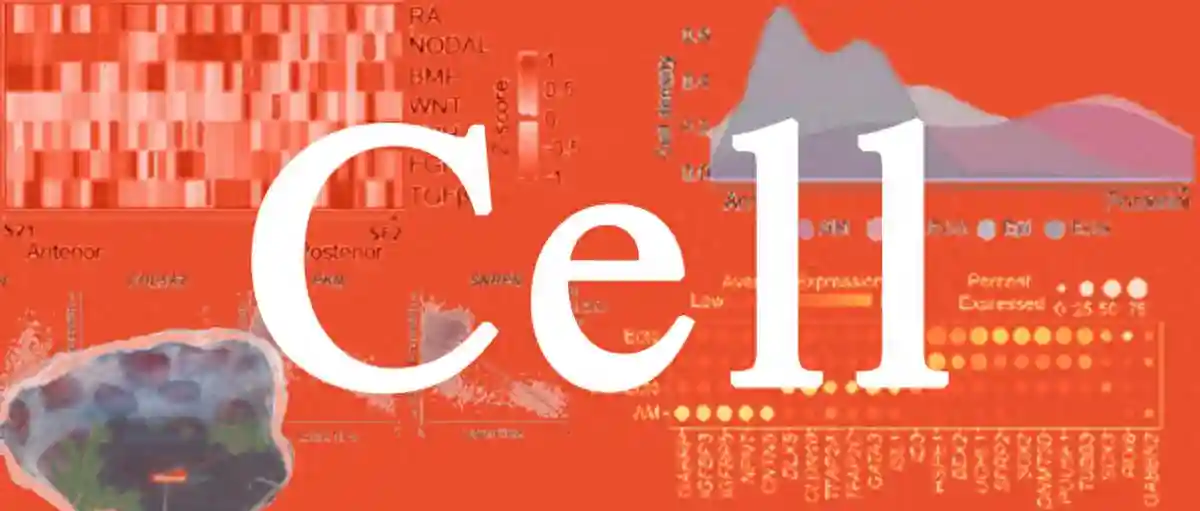 首篇Cell，填补空白！北理工女学者最新成果，引国际关注！