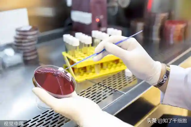 120万天价抗癌药将入医保？希望可能要破灭