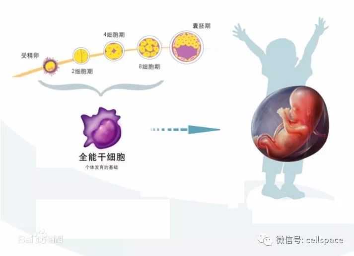 【同心战疫】“西”望你我，“安”然无恙！陕西凝聚抗疫“统战力量”！