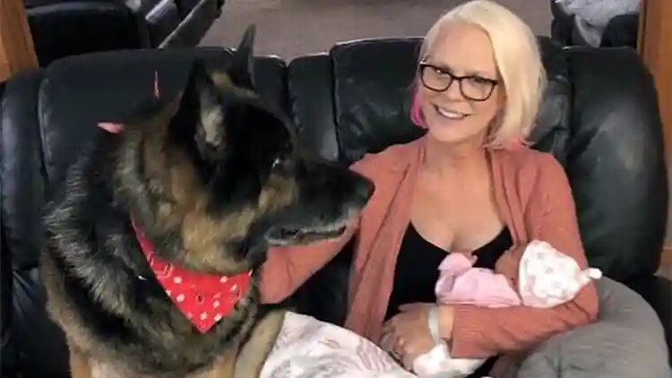 热成像仪拍摄妈妈给娃喂奶乳房惊现“爱心”图案 网友：液体母爱