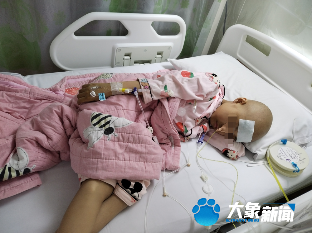 循环果糖通过味觉受体介导的交配果蝇肠道激素分泌调节种系干细胞