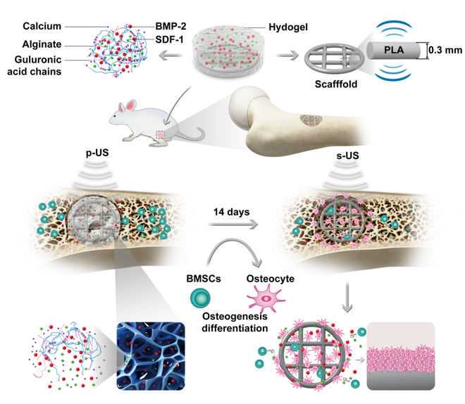 奥司他韦对各种感冒都有效吗？