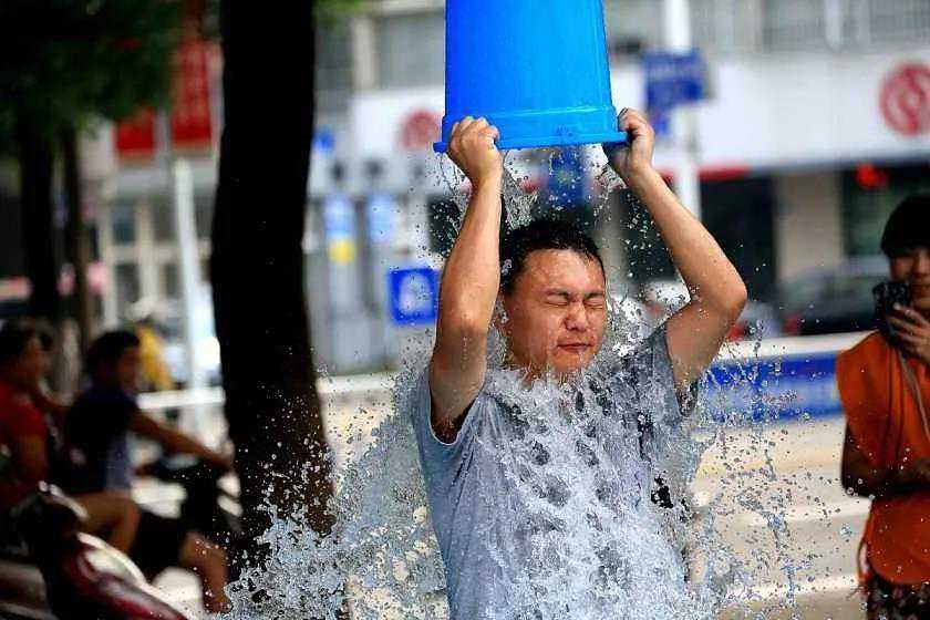 大连医科大多位教授学术不端被通报批评：多个国自然项目被撤