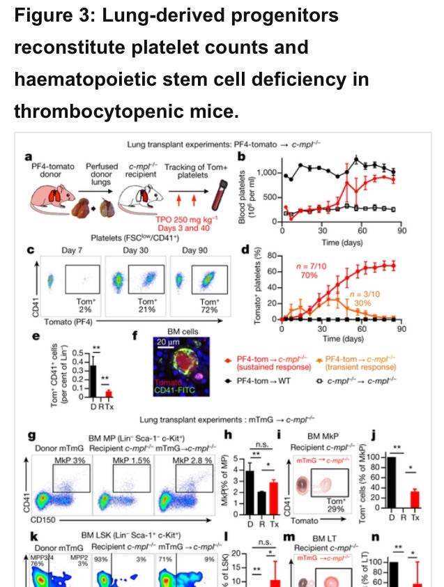 小脑中的细胞拥有不同的代谢需求