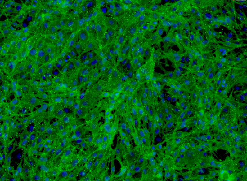 安徽亳州一洗浴中心男性顾客死亡！店家回应：系顾客自身原因