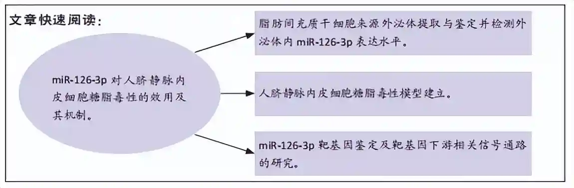 脂肪间充质干细胞来源外泌体miR-126-3p对人脐静脉内皮细胞糖脂毒性的作用