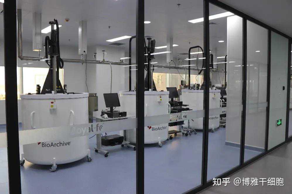 液体黄金（自体脂肪）的发展历史