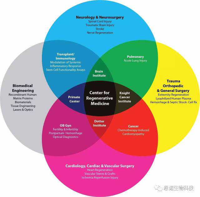 涨姿势这些错别字，最容易让老师“阴沟里翻船”，还不快来看！