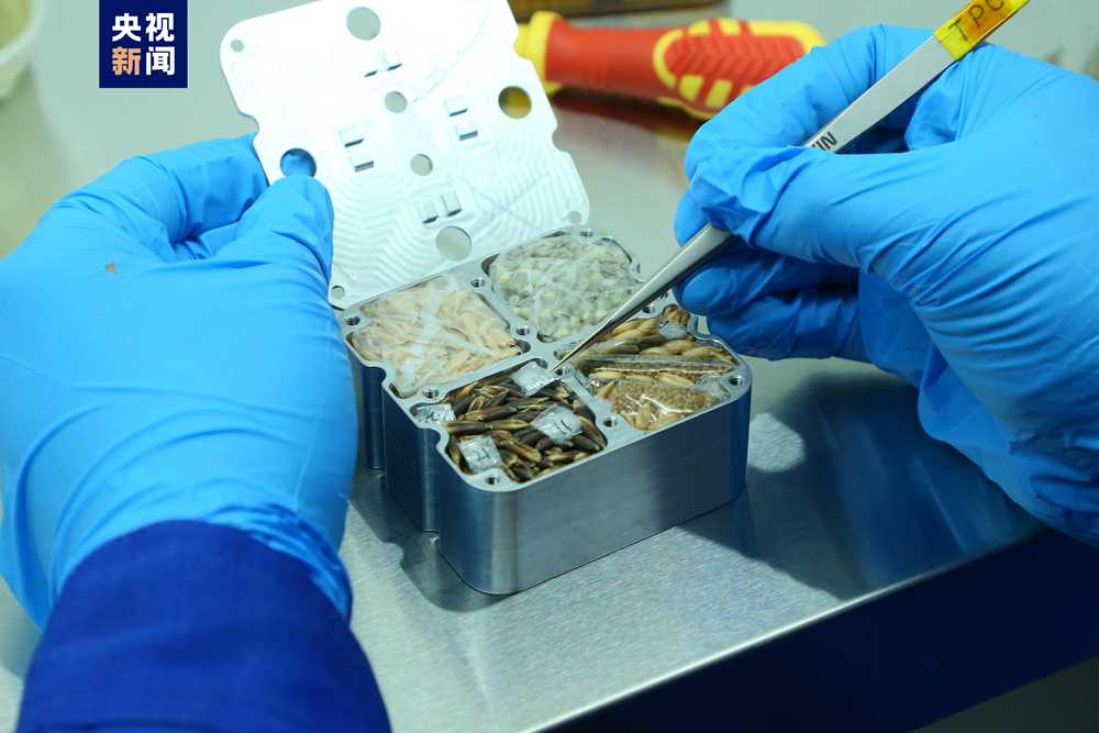 某些植物提取物可延缓衰老