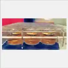 将人类干细胞转化为类脑组织的尖端技术以实现