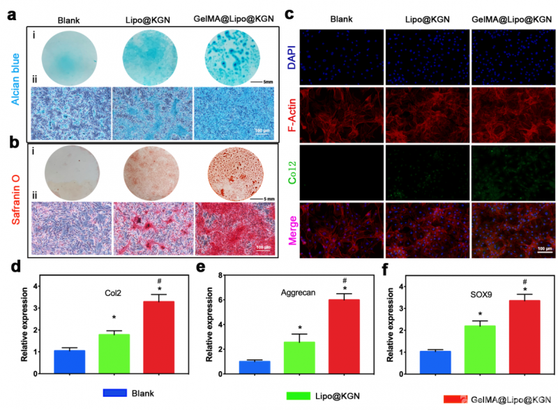 只楚园“华航综合细胞公益库”项目举行签约暨授牌仪式