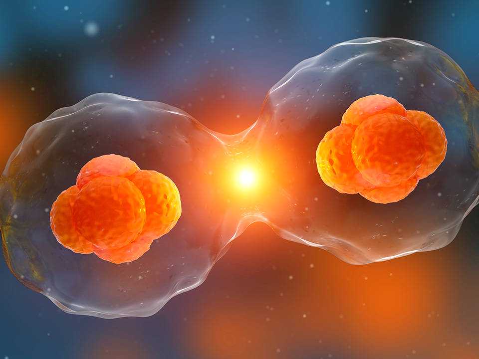 氯喹不良反应被“通告”，临床试验需“守规”| 赛先生