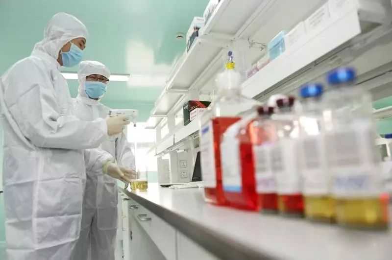 我国异基因造血干细胞移植量居全球首位，创新药纳入医保应对“慢性排异”