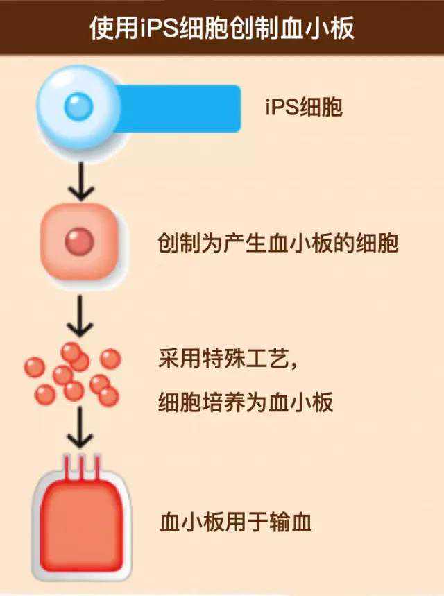 “光琇-医者项目”启动，将提升湖南心脑血管疾病救治和健管能力