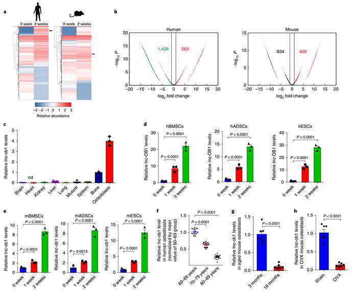 关于赛尔思ACT的疑问，看这篇就够了