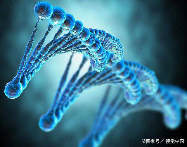 石门医师张莉赴长沙捐献造血干细胞