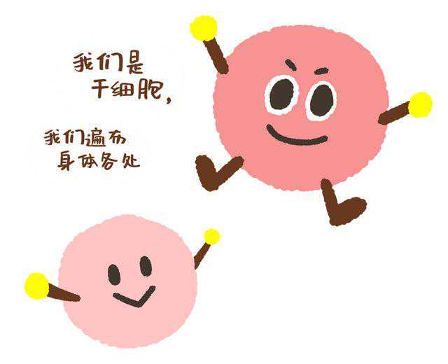 科技部部长点赞《厉害了，我的国》：有眼福，很感动