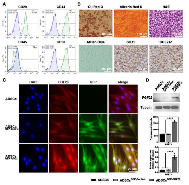 刘启发：飞速发展的血液科与被打破的“血癌”禁忌｜致敬中国医师节·健康中国地铁专列海报故事