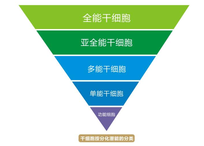 淋巴瘤化疗出现不良反应怎么办，四大招教你轻松应对