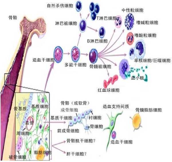 良渚实验室：用科技创新钥匙，开启生命健康之门