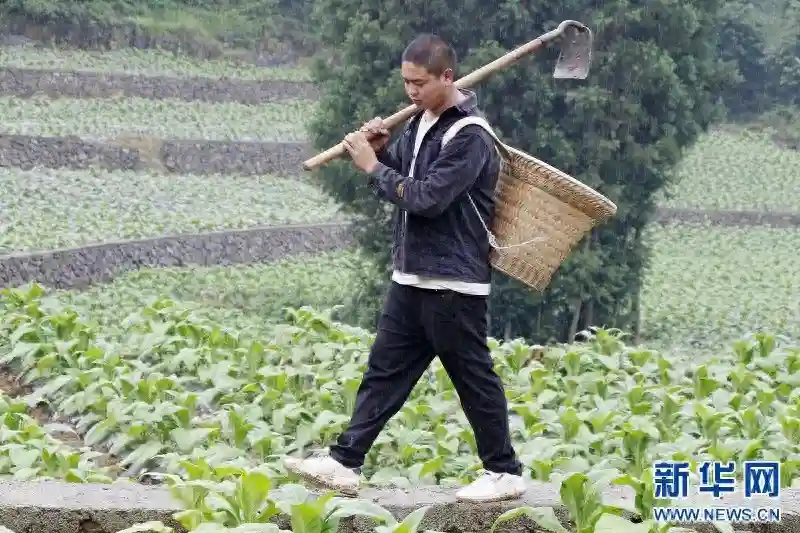 乡村振兴在行动丨回乡创业青年挑起“红色美丽村庄”振兴大梁