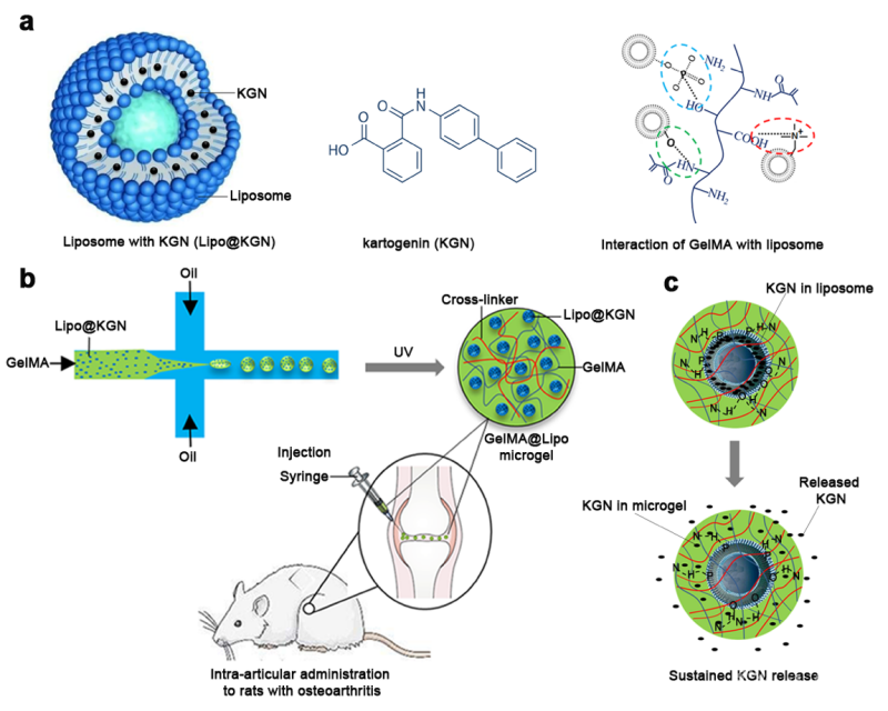 西安三年水治理目标：打造人民幸福河 实现“河湖相通 碧水长流”