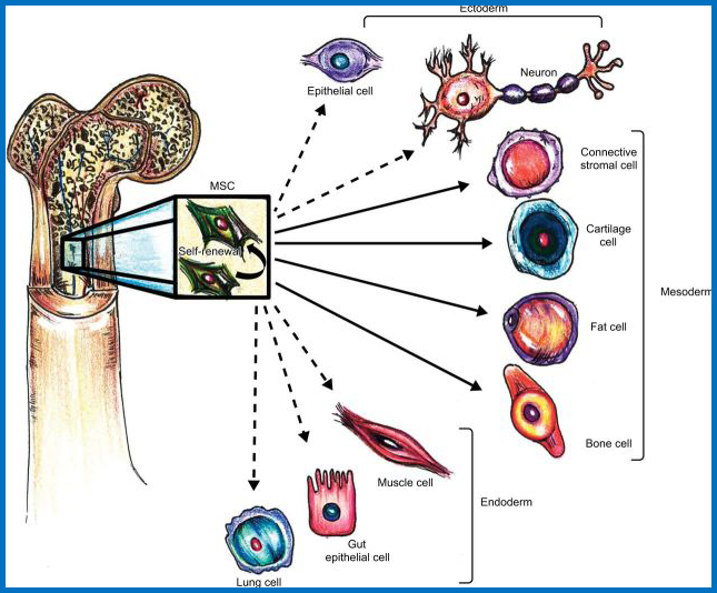谁是A股人造肉概念最正宗的公司?
