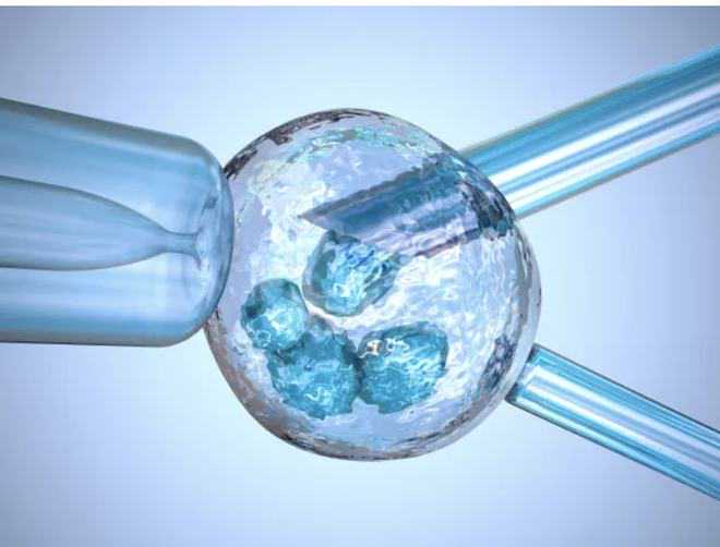 资金活了 产业兴了 家底厚了——勉县用“活”扶贫互助资金激发农村发展活力