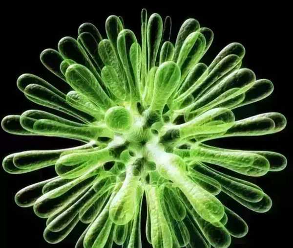 都在选“新赛道”，天津为何挑中生物医药？