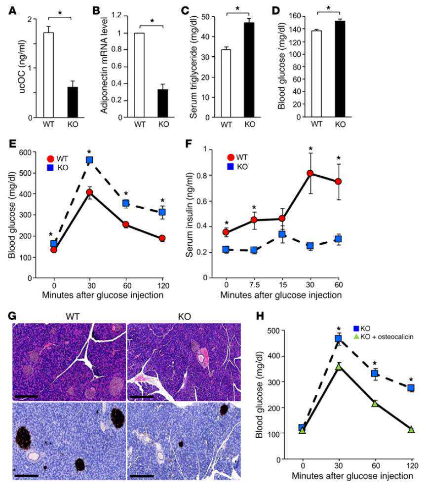 伦理指引严防“基因编辑婴儿”，六年反思带来哪些改变