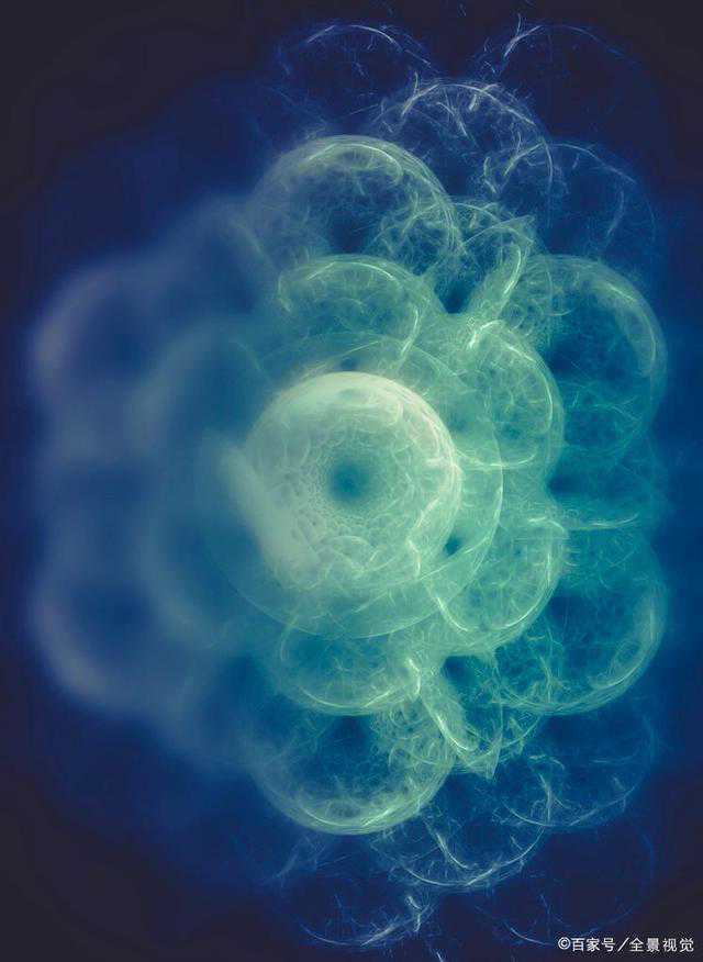 血细胞都去哪了?| 一页手册·协和八