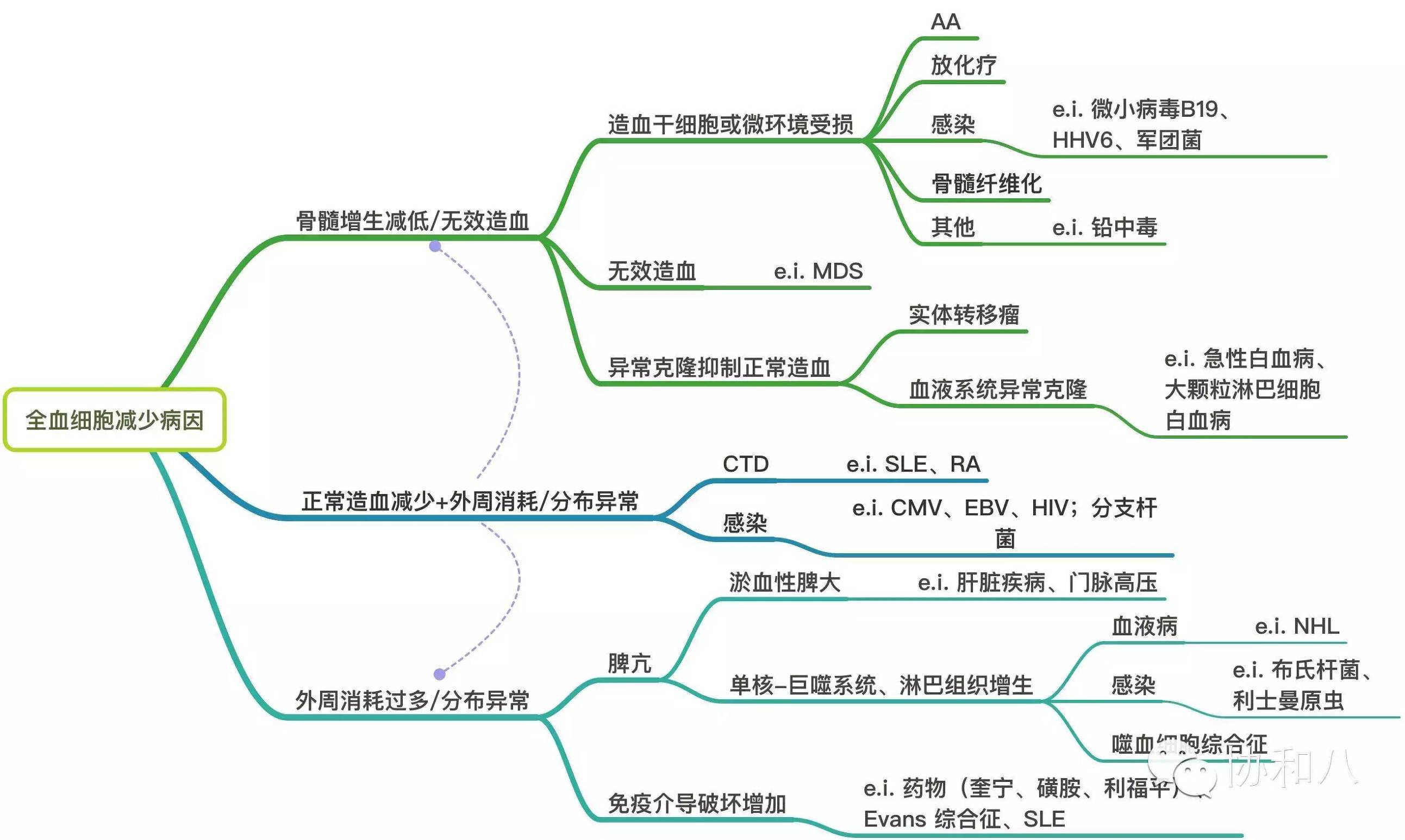 血细胞都去哪了？| 一页手册·协和八