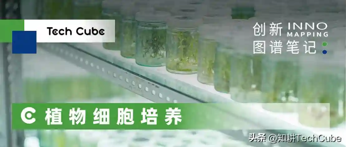全景解析!植物细胞培养技术国内外商业化进展｜创新图谱笔记