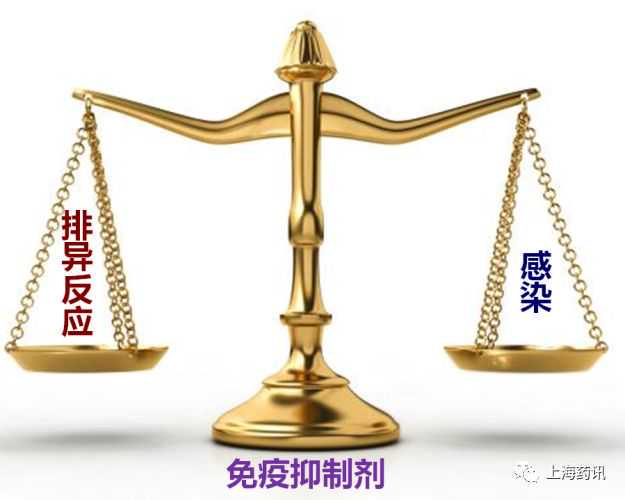 有了人造血液，真的就不需要人献血了吗？