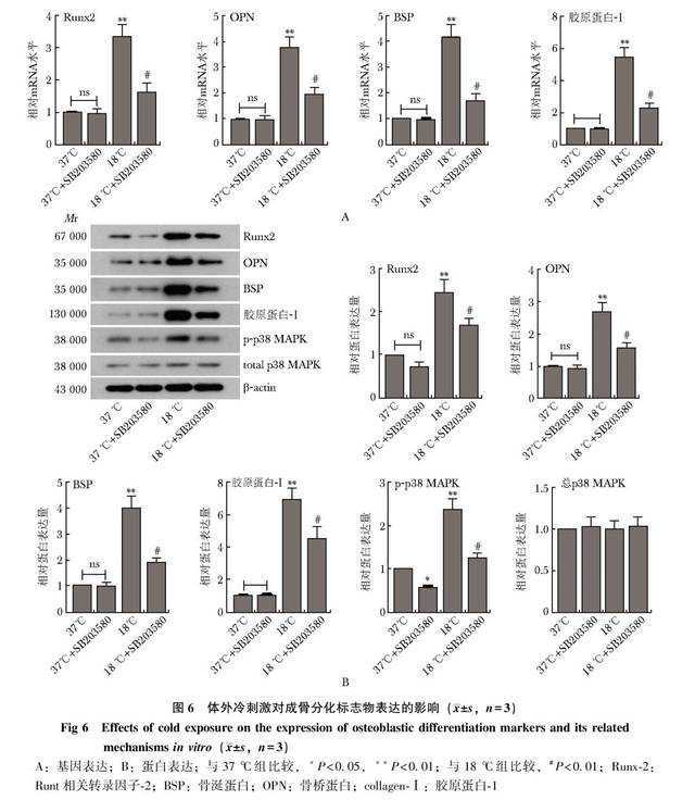 科技标杆，引领行业升级