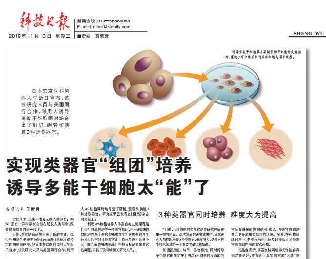 知识产权管理面临新挑战