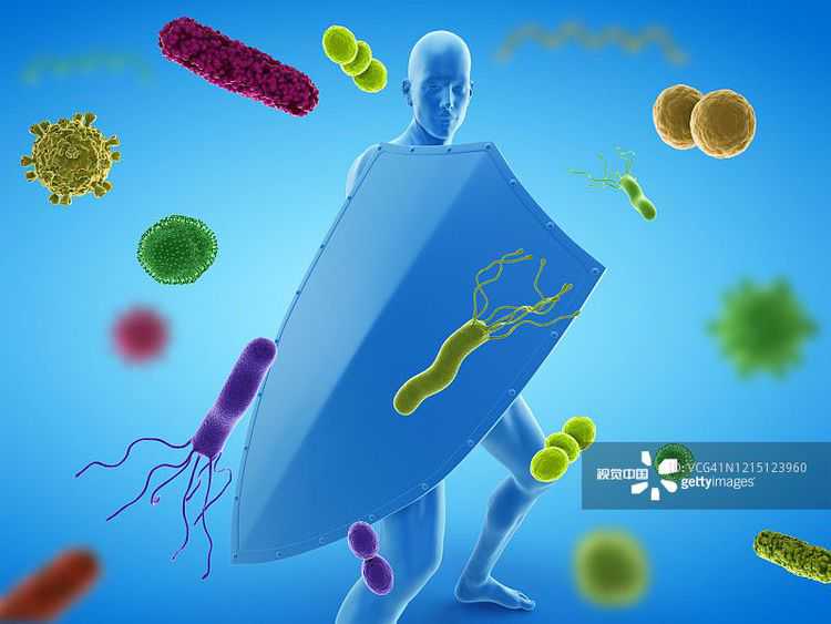 《自然》耶鲁大学 | 科学家让死猪的细胞复活