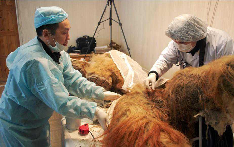 上海长征医院自体胰岛细胞移植术，让胰腺良性肿瘤患者不用担心术后得糖尿病