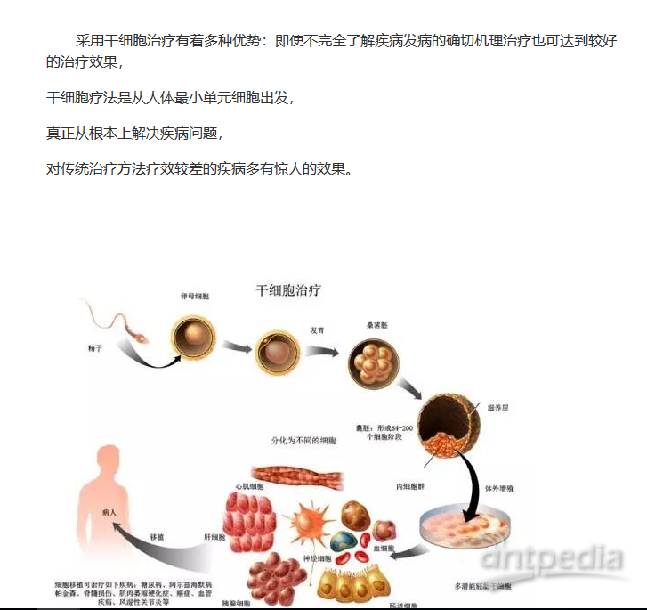 “新冠”大考——治国理政能力的出色答卷