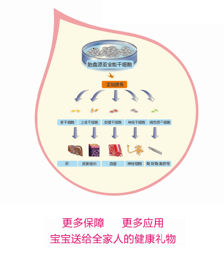 浙江华海药业股份有限公司关于获得药品注册批件的公告
