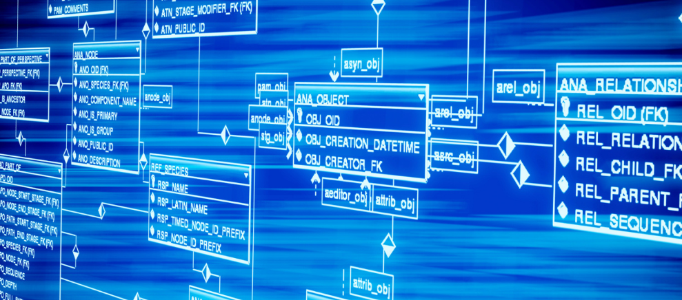 “安可瑞”高起点竞跑干细胞产业赛道